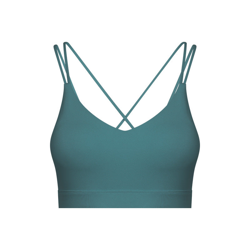 SP Basics Bra V2