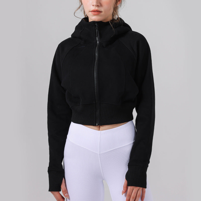 SP Basics Cropped Hoodie